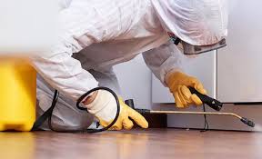 Best Real Estate Pest Inspections  in Cascade Locks, OR